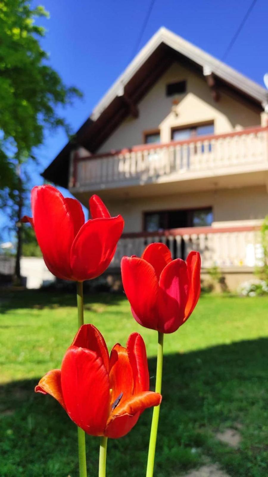 Zelena Oaza Holiday home